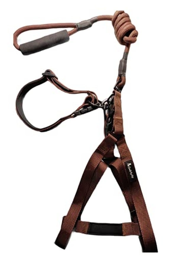 DOGTOWN Rope+Collar+Harness -25 mm Toy for Small and Medium Dogs It's 100% Natural & SafeColor-Brown - Image 1